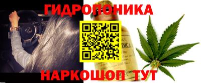 мяу мяу мука Можайск