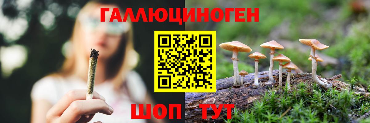 Псилоцибиновые грибы Psilocybine cubensis  Псилоцибиновые грибы Cubensis  Вход с VPN  Канск 